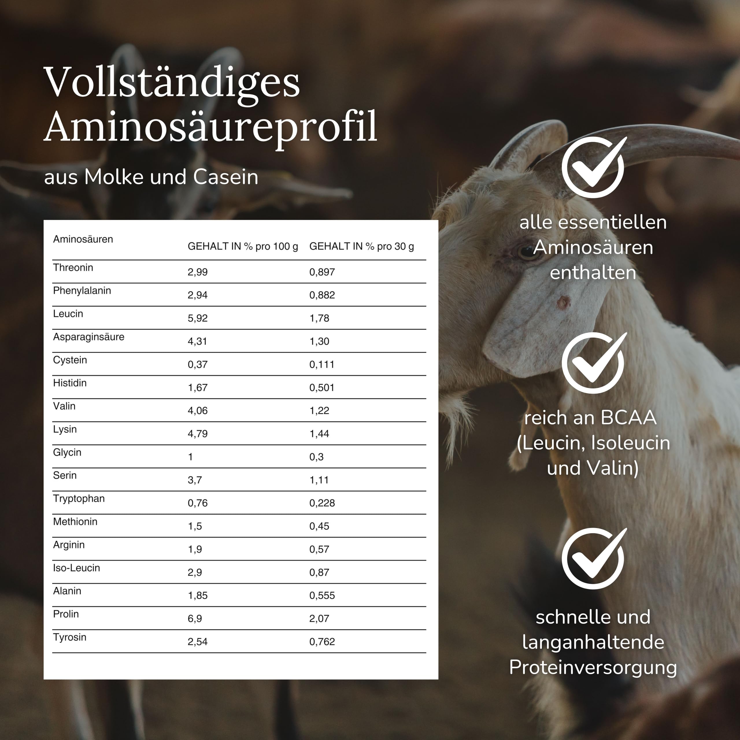 LYKAIA A2 Ziegen Protein 300 g - natürliches Proteinpulver ohne Zusatzstoffe aus 100% A2 Milch. Hochwertig und gut verträglich wegen ursprünglicher A2 Struktur - neutral und cremig