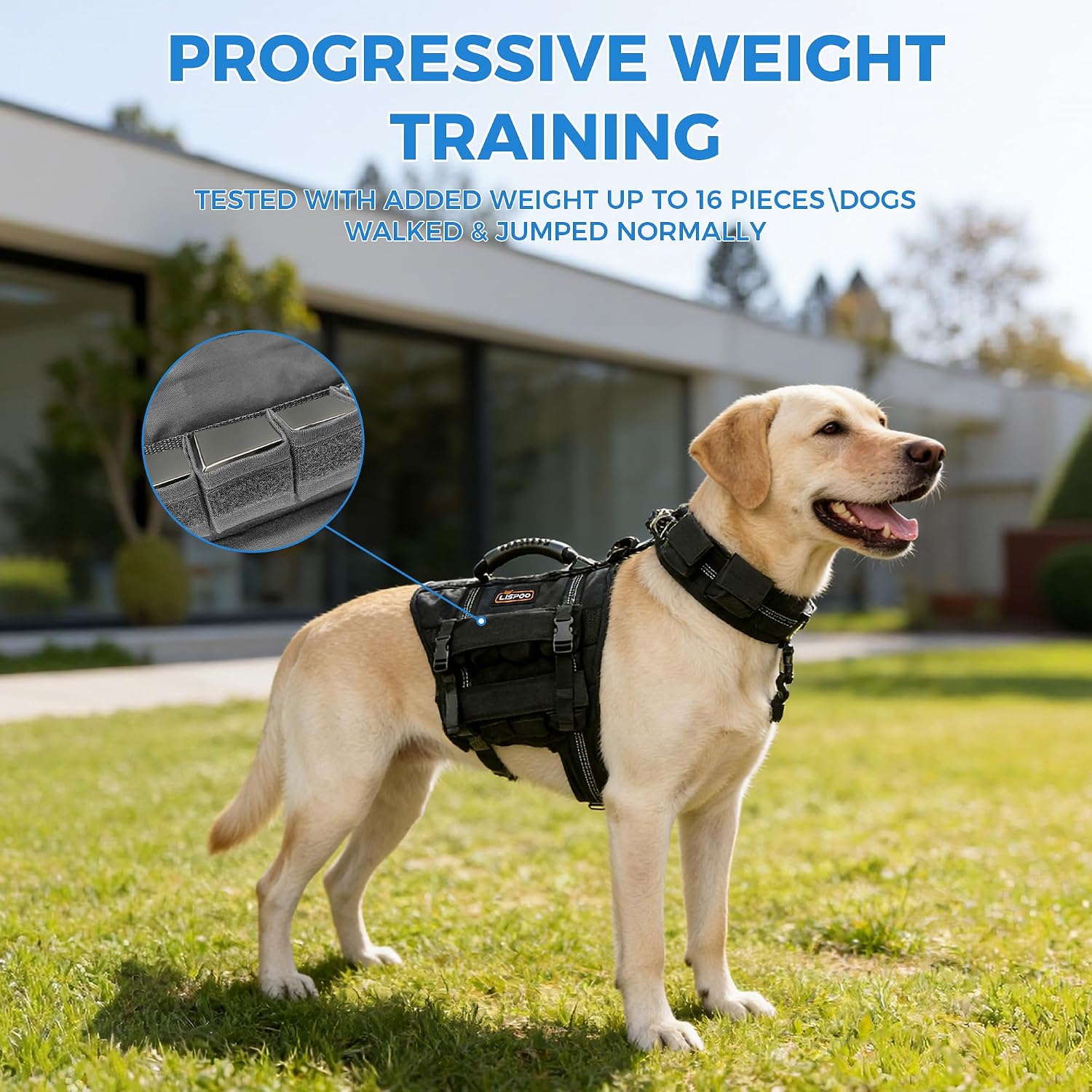 Weighted Dog Vest for Exercise, 4 Weights, Adjustable Fit,M | 4 Removable Weights with Adjustable Pockets for Exercise, Walking, and Controlled Training