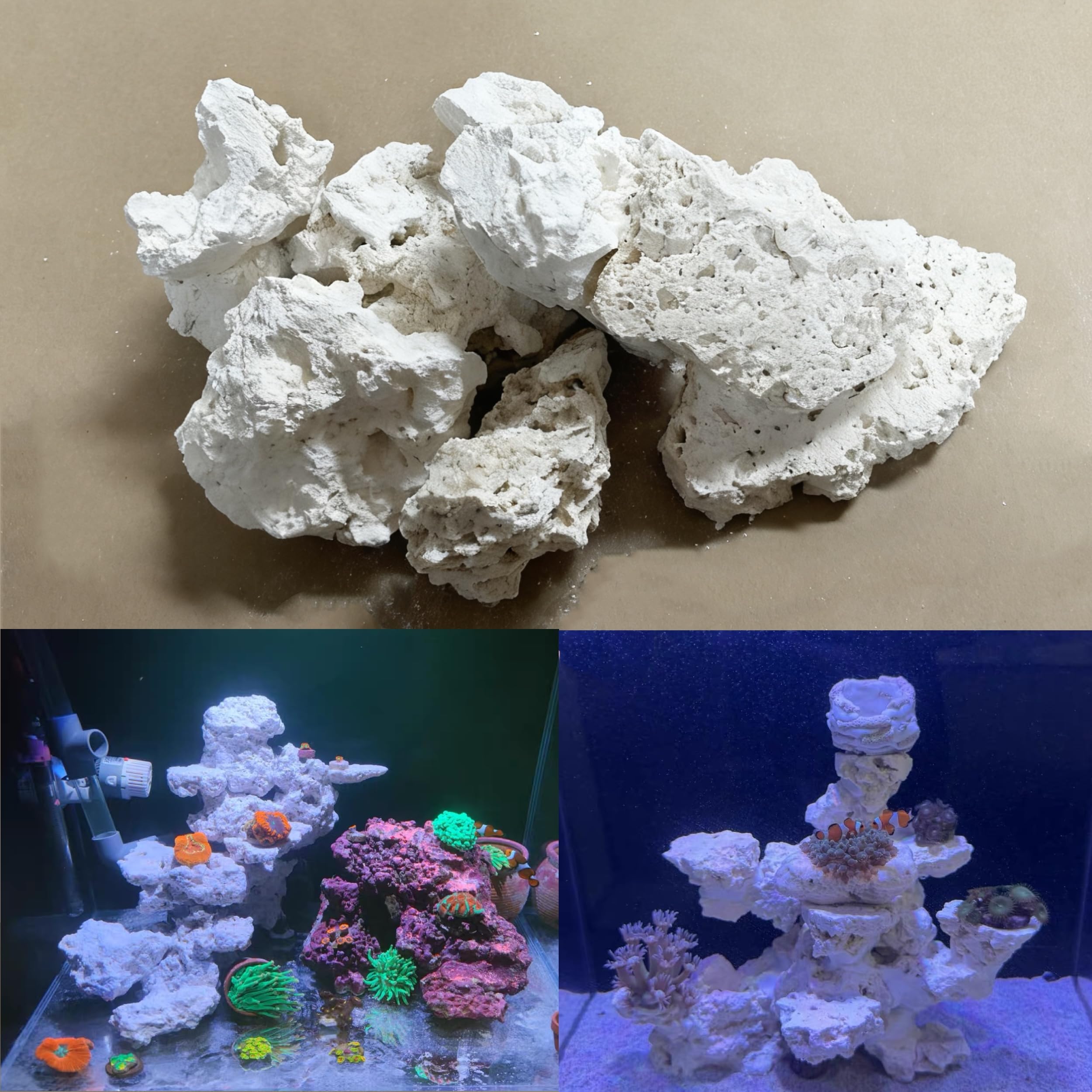 YZHZOM Roche de base sèche pour aquarium Corail blanc Ornement Roches de base marine pour aquarium (3,2 kg, tailles et formes mélangées)