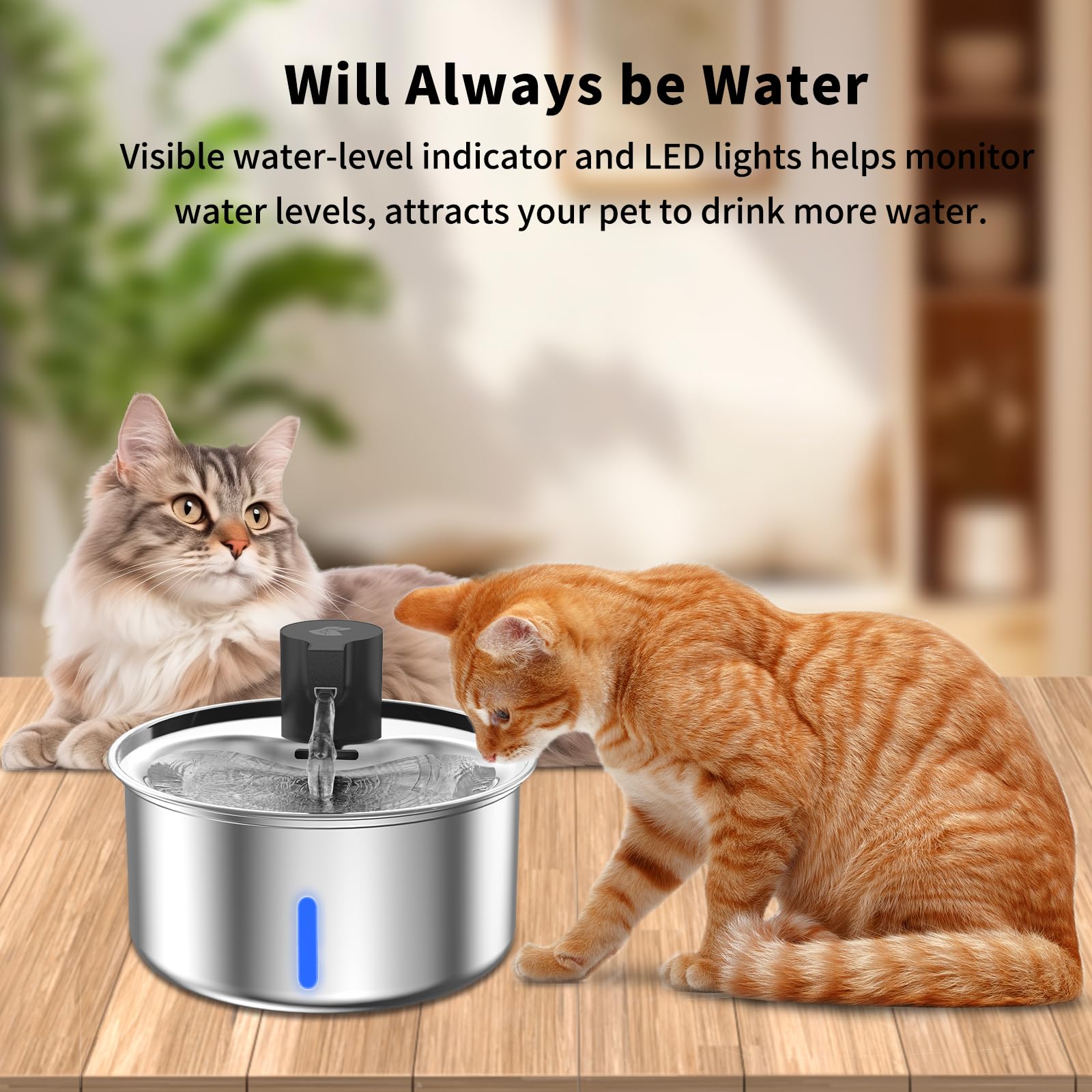 Cordless Cat Water Fountain, 5.5L/186oz Battery Operated Pet Water Fountain Stainless Steel with Ultra Quiet Pump, Motion Sensor, Cordless Pet Water Fountain Outdoor&Indoor Cat Water Drinking - image 6