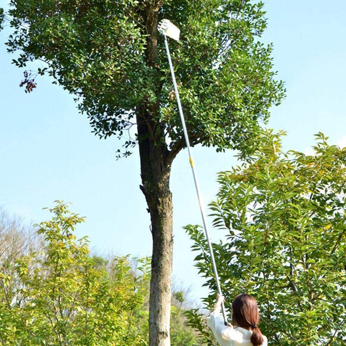 Raccoglitore Di Frutta In Metallo Con Sacchetto - Strumento Pratico Per Raccogliere Mele E Altri Frutti (Colore Bianco) - Foto 8