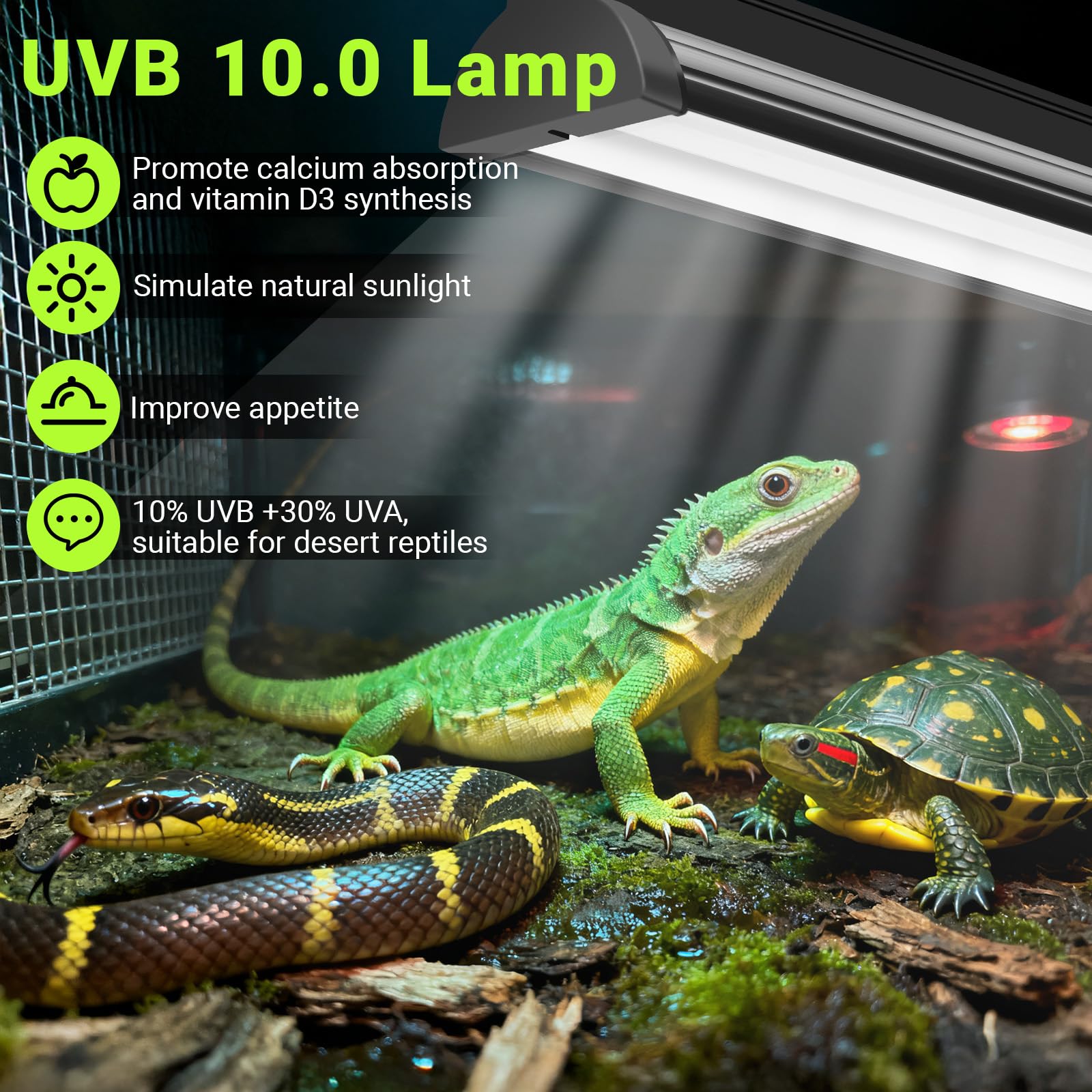T5 UVB-Licht-Reptilien-Set 10% UVB 30% UVA 31,5 cm Hochleistungshalterung für Bartagamen Eidechsen Schildkröten