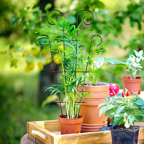 Miniatura 5 de Thealyn Paquete de 4 enrejados de plantas de interior de 23 pulgadas para plantas en maceta trepadoras, enrejado de jardín de metal al aire libre,