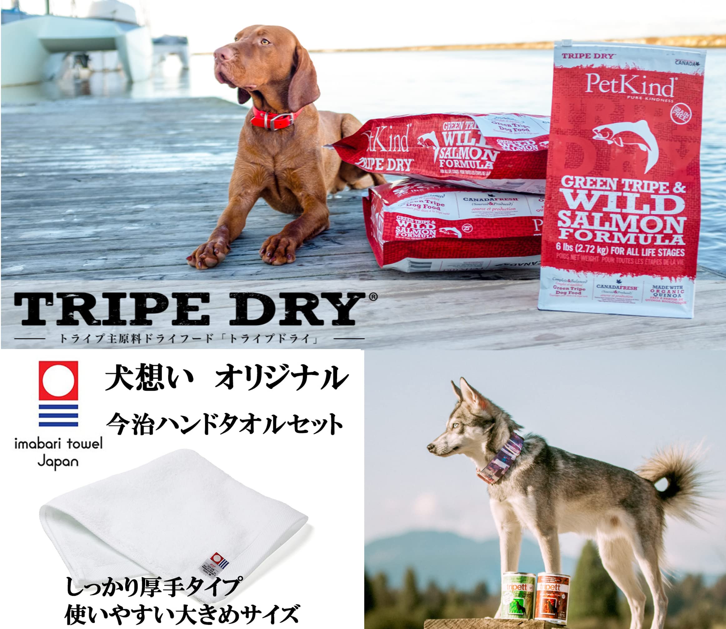 Amazon.co.jp: ペット・カインド グリーンビーフトライプSAP 【小粒 