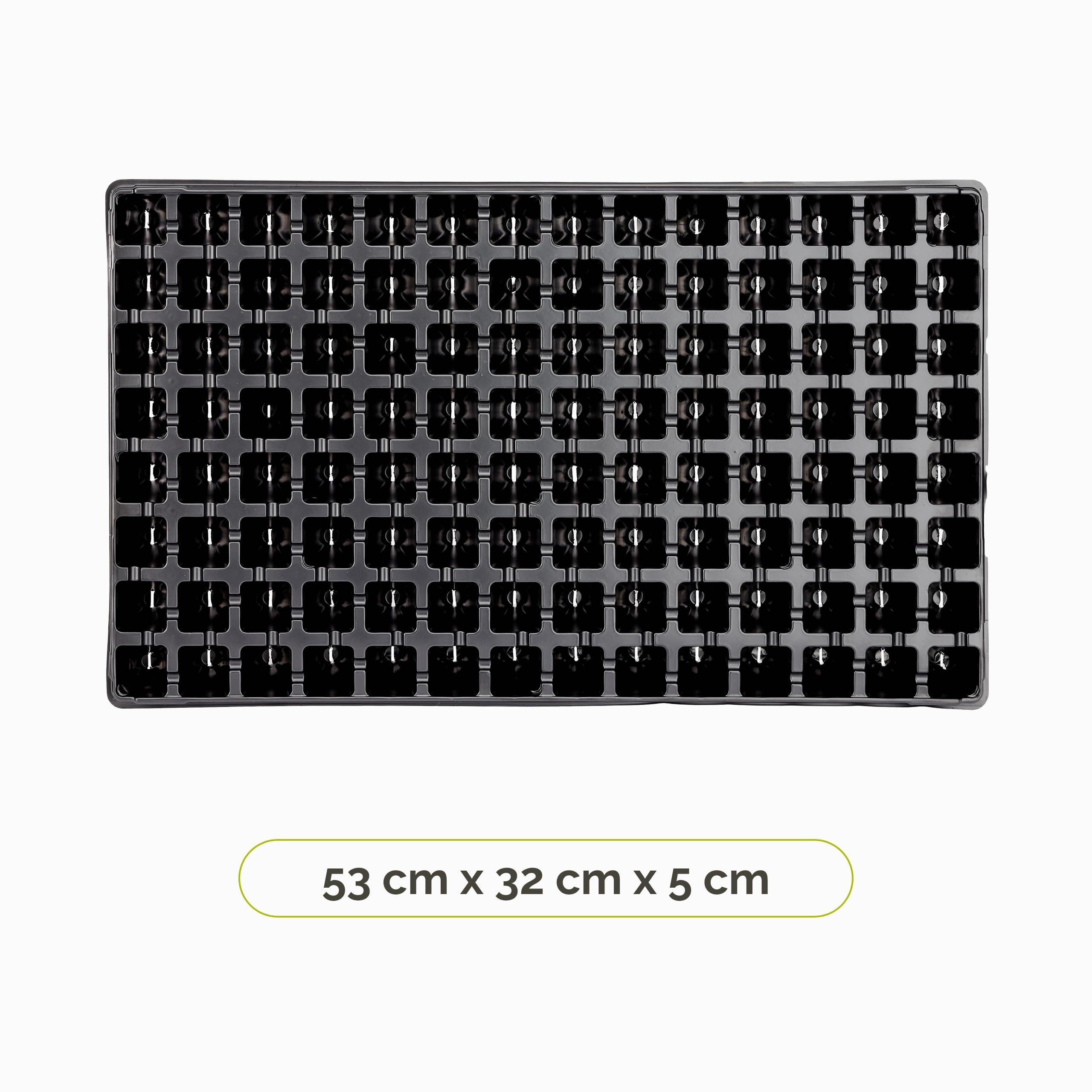 Vassoi Semenzaio 60x30 Cm - Per Germinazione Piante, Orto, Serra, Set Di 2 Pezzi