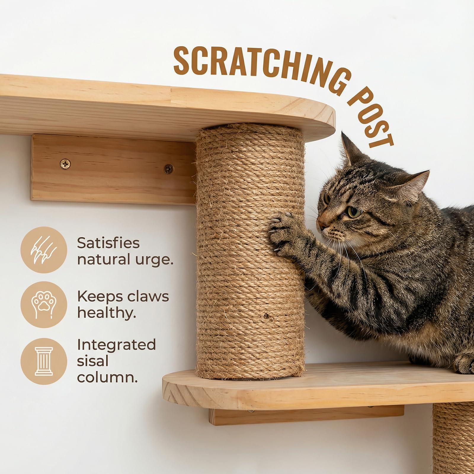 Étagère d'escalade Murale pour Chat, Escalier pour Chats Mural, Arbre à Chats Mural Griffoir, Éagère d'escalade pour Chat, Marche Murale et Griffoir pour Escalade/Gratter/Jouer
