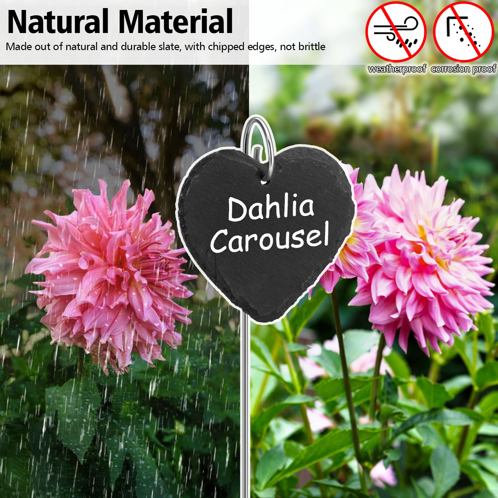 UPKOCH - Lot De 100 étiquettes De Jardin Imperméables - Marqueurs Plantes Avec Surface Inscriptible - 5 Couleurs - 12