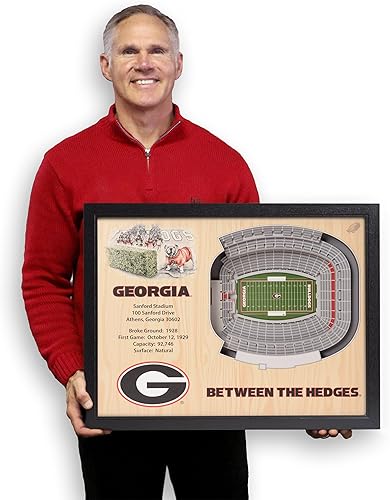 Miniatura 4 de YouTheFan NCAA - Arte de pared con vista al estadio de 25 capas