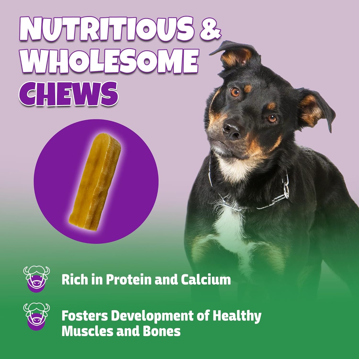 Healthy Yak Cheese Himalayan Chew, All-Natural & High in Protein, Odorless & Long Lasting Yak Chews for Large Dogs & Medium Dogs, Dog Chews for Aggressive Chewers (Large, 8-Pack)