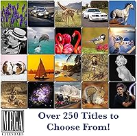 Vista 16 de Razas de Perros 2017