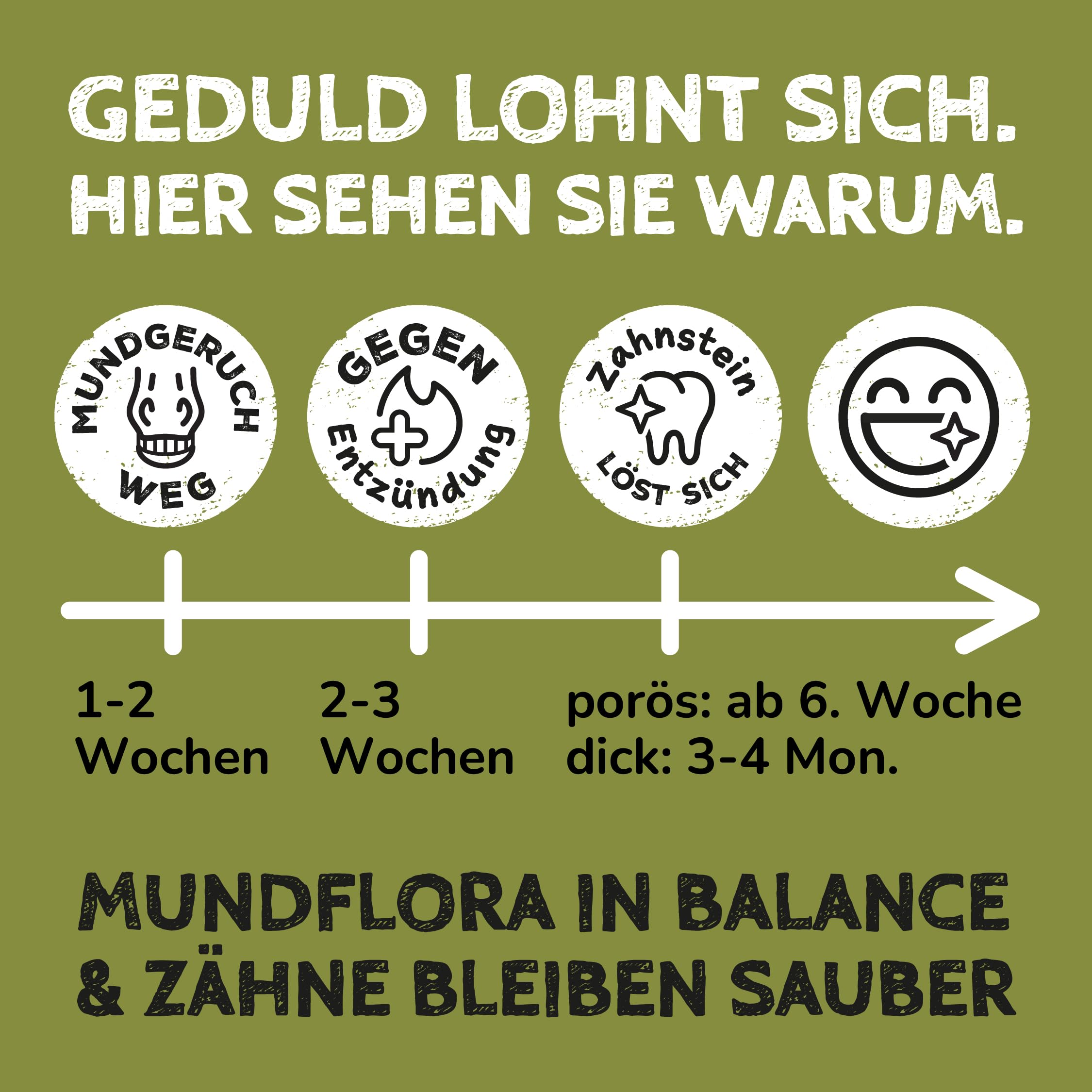 QCHEFS 8er Pack Zahnputz-Cracker Balance Pferd gegen Zahnstein Mundgeruch | Ohne Bürste, Gesunde Leckerlis gegen Zahnstein & Mundgeruch, Tägliche Zahnreinigung
