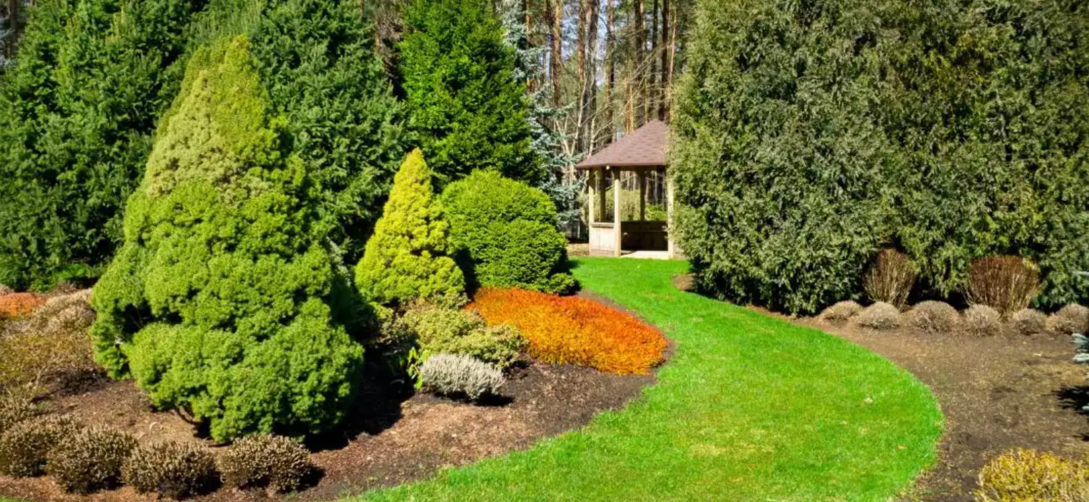 Koniferendnger Herbst Winter Herbstdnger Thuja Zypressen Nadelbaumdnger  3kg : Amazon.de: Garten