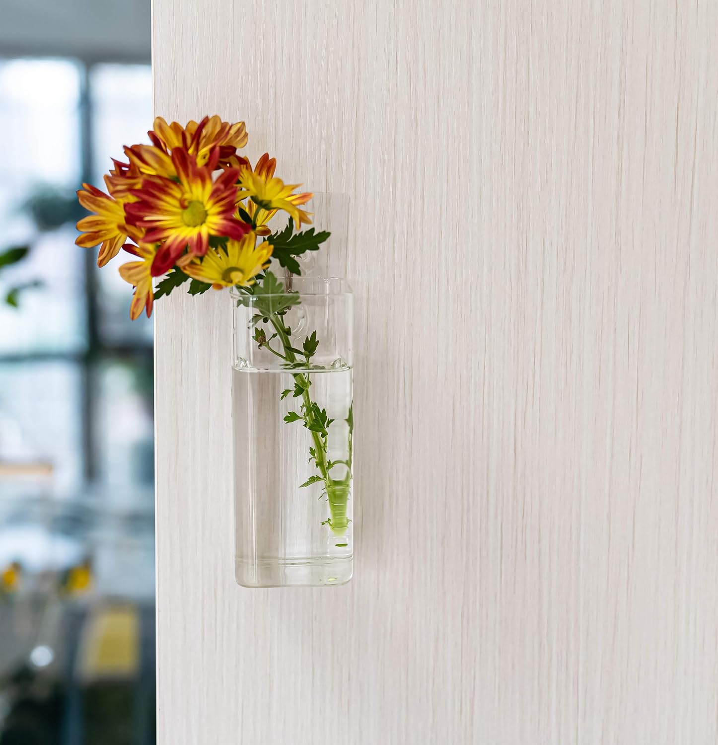 Kingbuy Wall Hanging Square Glass Planter and Cone Hydroponic Vase Plant Propagation Station for Water Plants Home Office Decoration