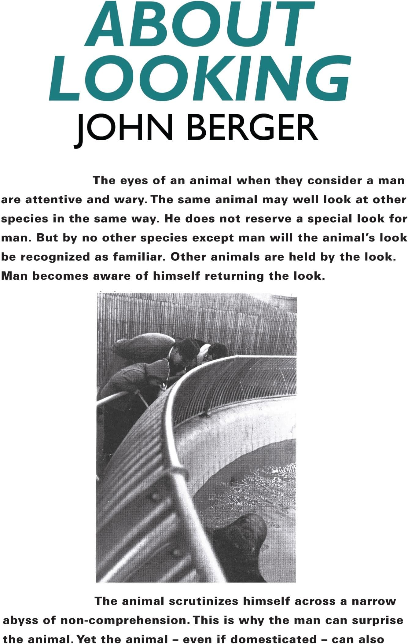 About Looking Paperback – 20 April 2009