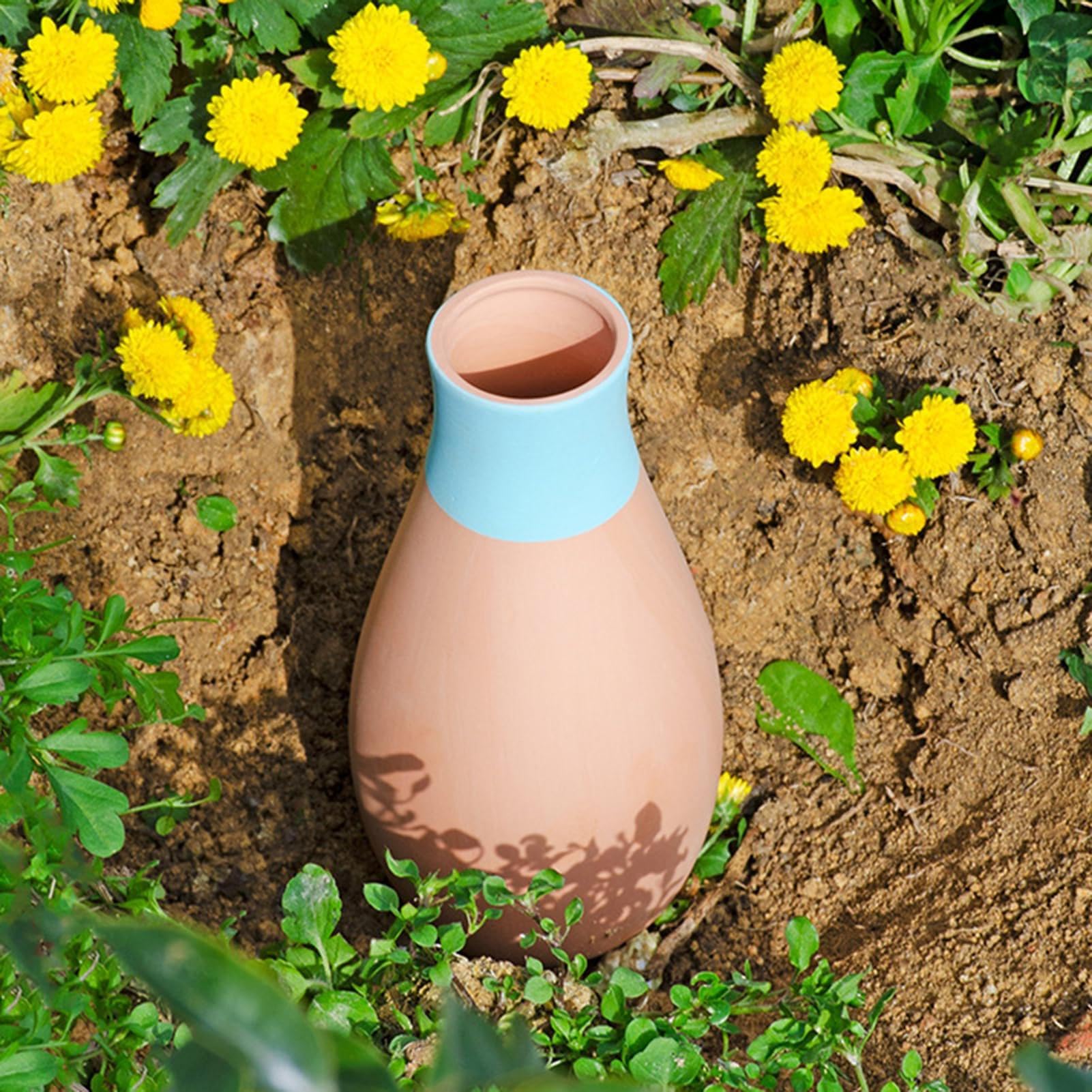 Piques d'arrosage en Terre Cuite – Arrosoir en Terre Cuite – Arrosoir en Terre Cuite à libération Lente, pour d'intérieur et d'extérieur, de Vacances