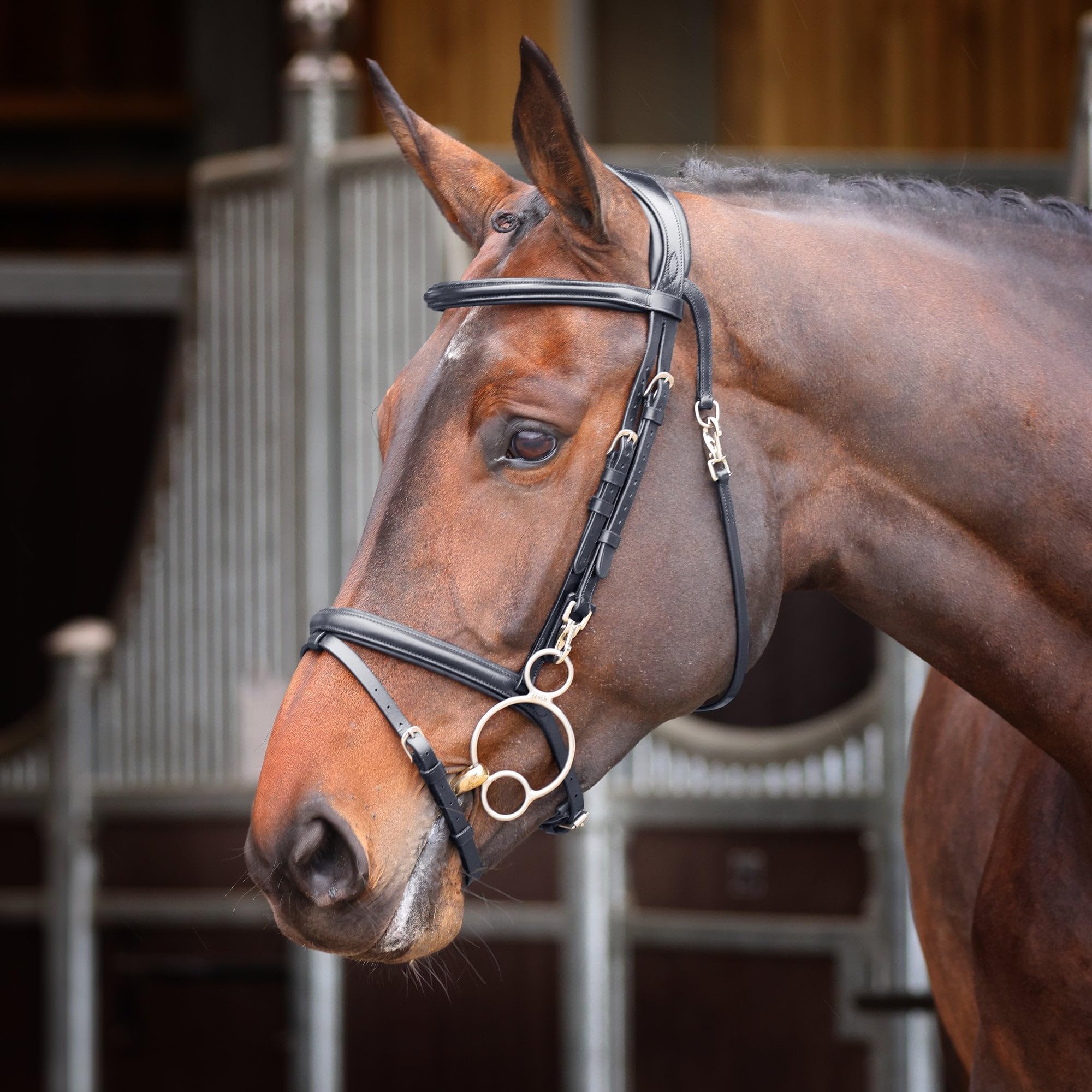 Shires Velociti Rapida Training Bridle Cob Havana