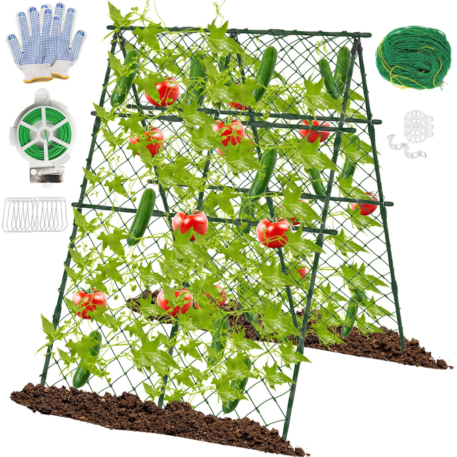 STFALI 63x47 Trellis