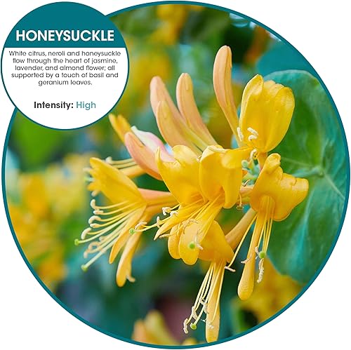 Miniatura 2 de Fresh Products Ambientador ecológico con clip, diseño versátil, ambientador de inodoro, sin químicos, aceites naturales, discreto, dura 30 días,