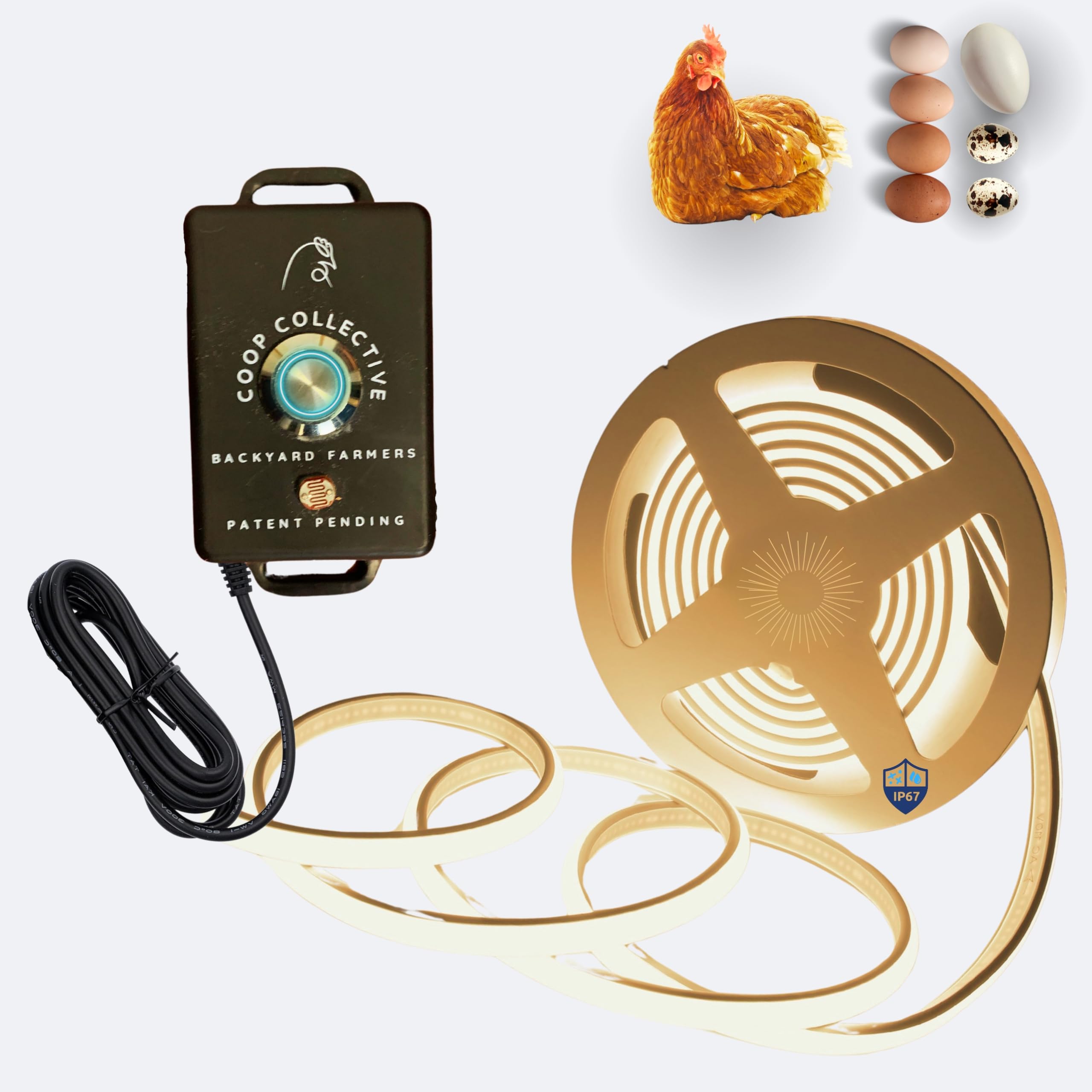 Snapklik.com : Automatic Chicken Coop Lighting System By Coop ...