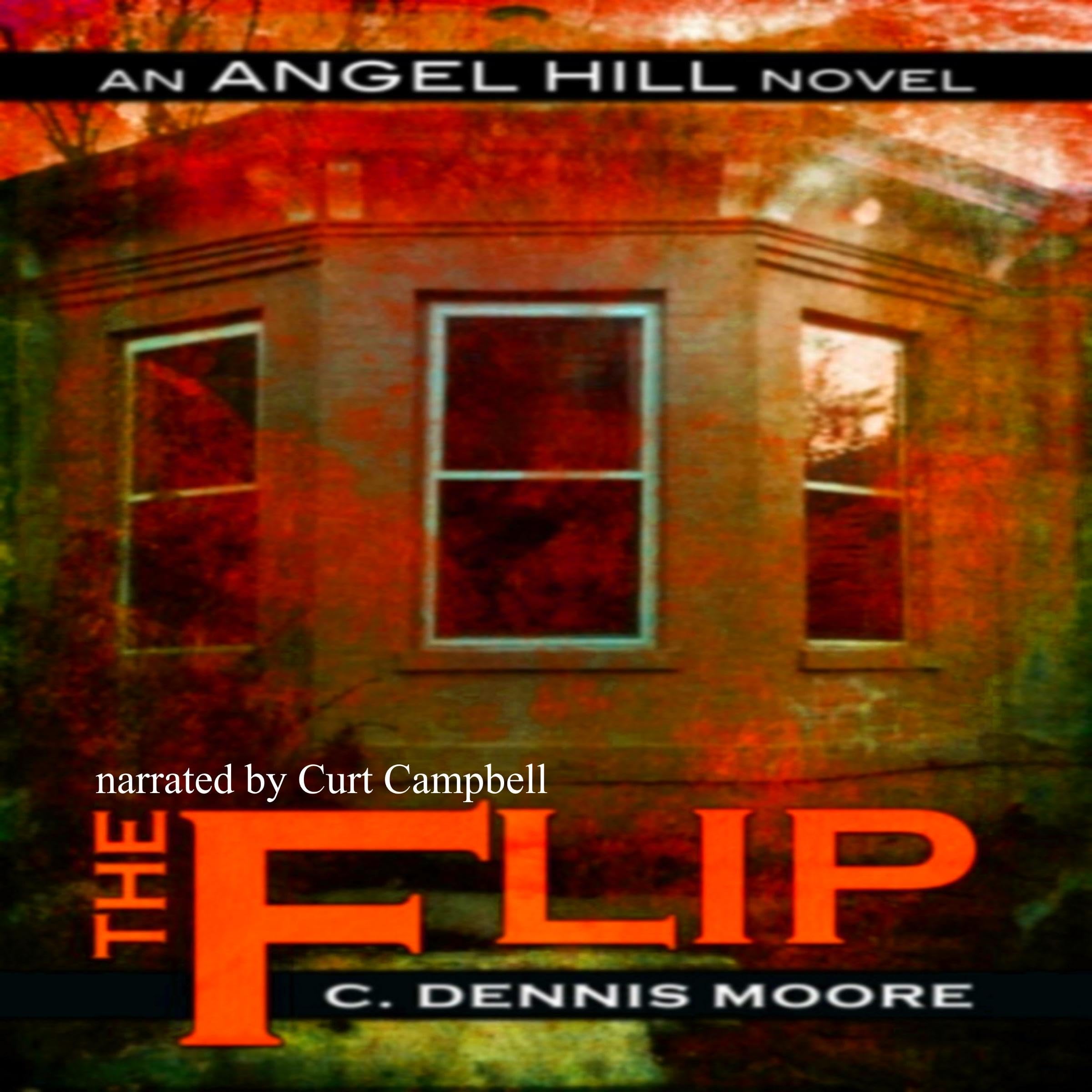 Cover art for The Flip