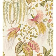 Stickyart Vintage Tropical Paradise Bird Wallpaper Peel and Stick English Cottage Botanical Bird Wallpaper Bohemian Tropical Birds and Foliage Contact Paper for Cabinets Accent Wall Decor 17.5"x80"