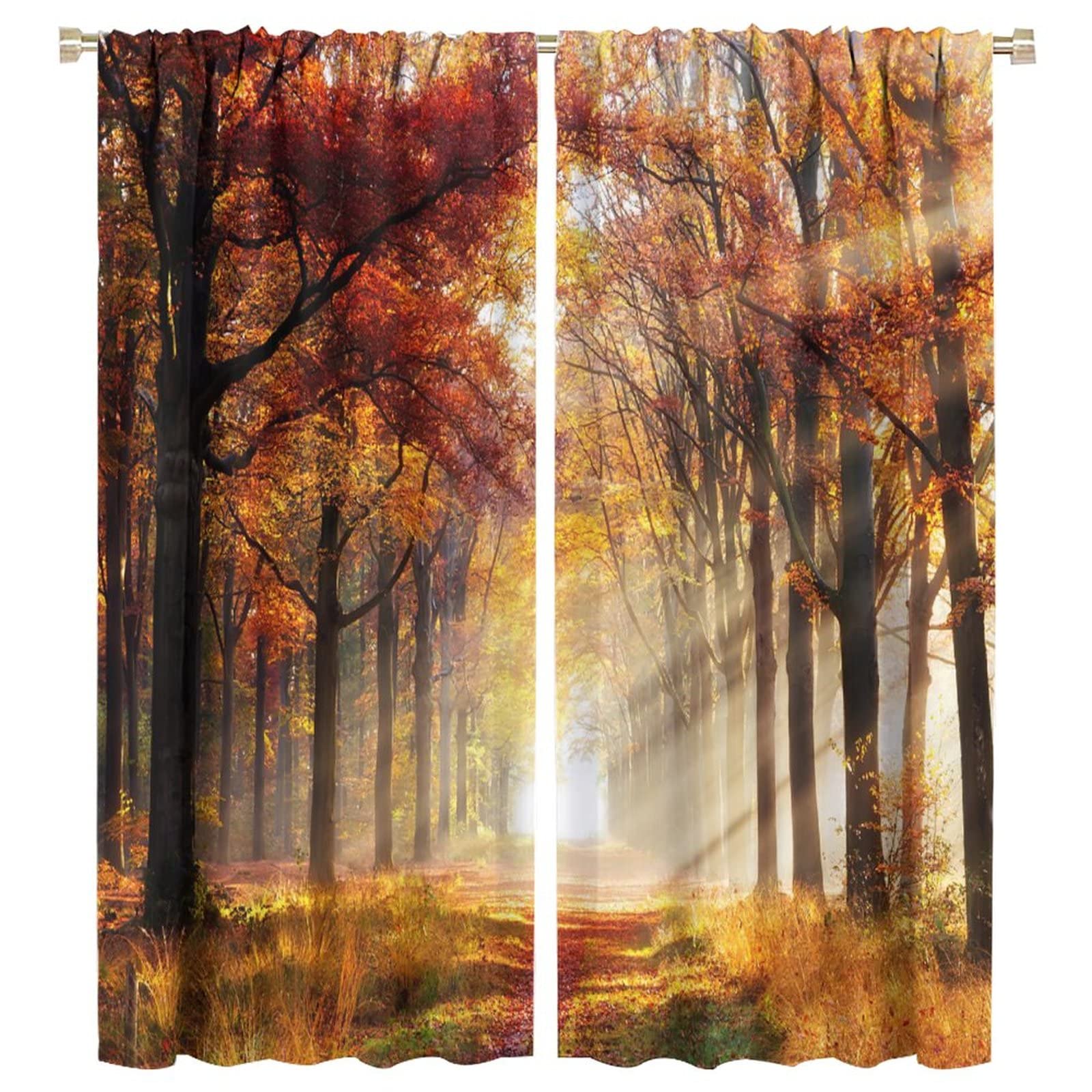 JESTRONRY Nature Kitchen Curtains,Country Forest Trees Sunshine Autumn Scenery,Living Room Bedroom Rod Pocket Window Drapes 2 Panel Set W55xL63in