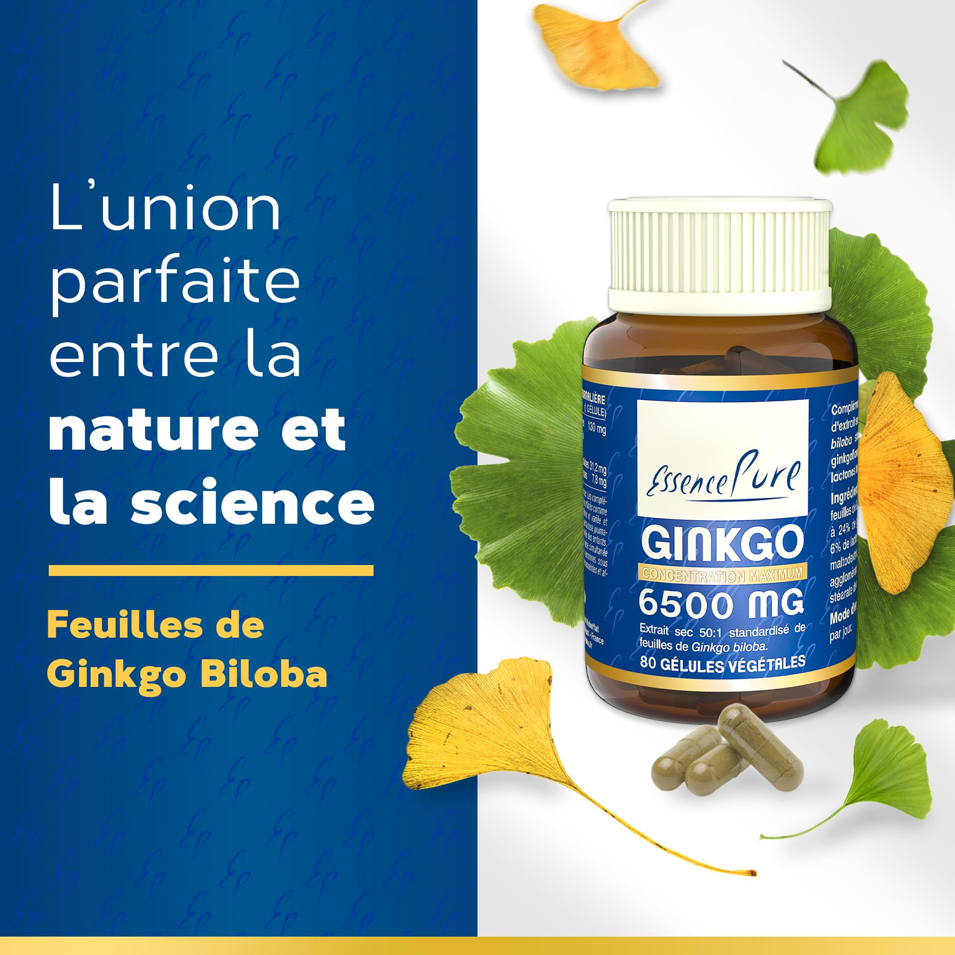 Ginkgo Biloba 6500 mg Essence Pure | Complément Alimentaire, 80 Gélules Végétales, 24% Ginkgoflavoglycosides, 6% Lactones | Soutient la Mémoire et la Circulation, Api-Nature