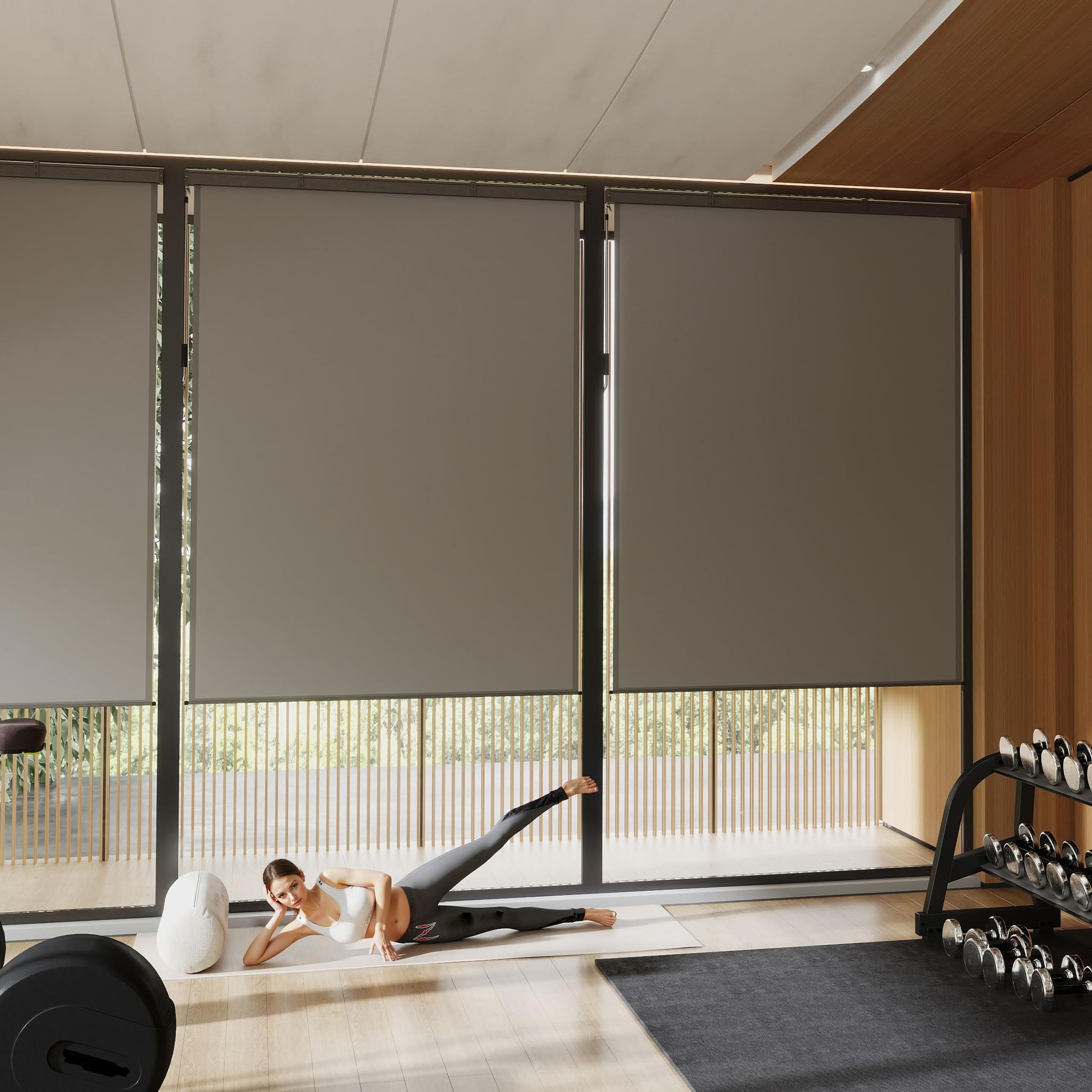FIVMEN Toldo vertical exterior de 160 x 250 cm, resistente a la intemperie, protección solar con manivela, estor de protección solar para balcón, 160 cm de ancho, protección visual para balcón