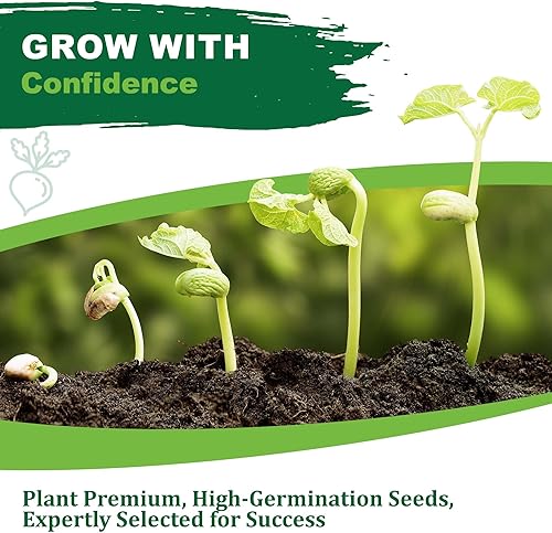 Miniatura 4 de TKE Farms - Semillas de ortiga picante para plantar, Urtica dioica, 500 mg  2000 semillas