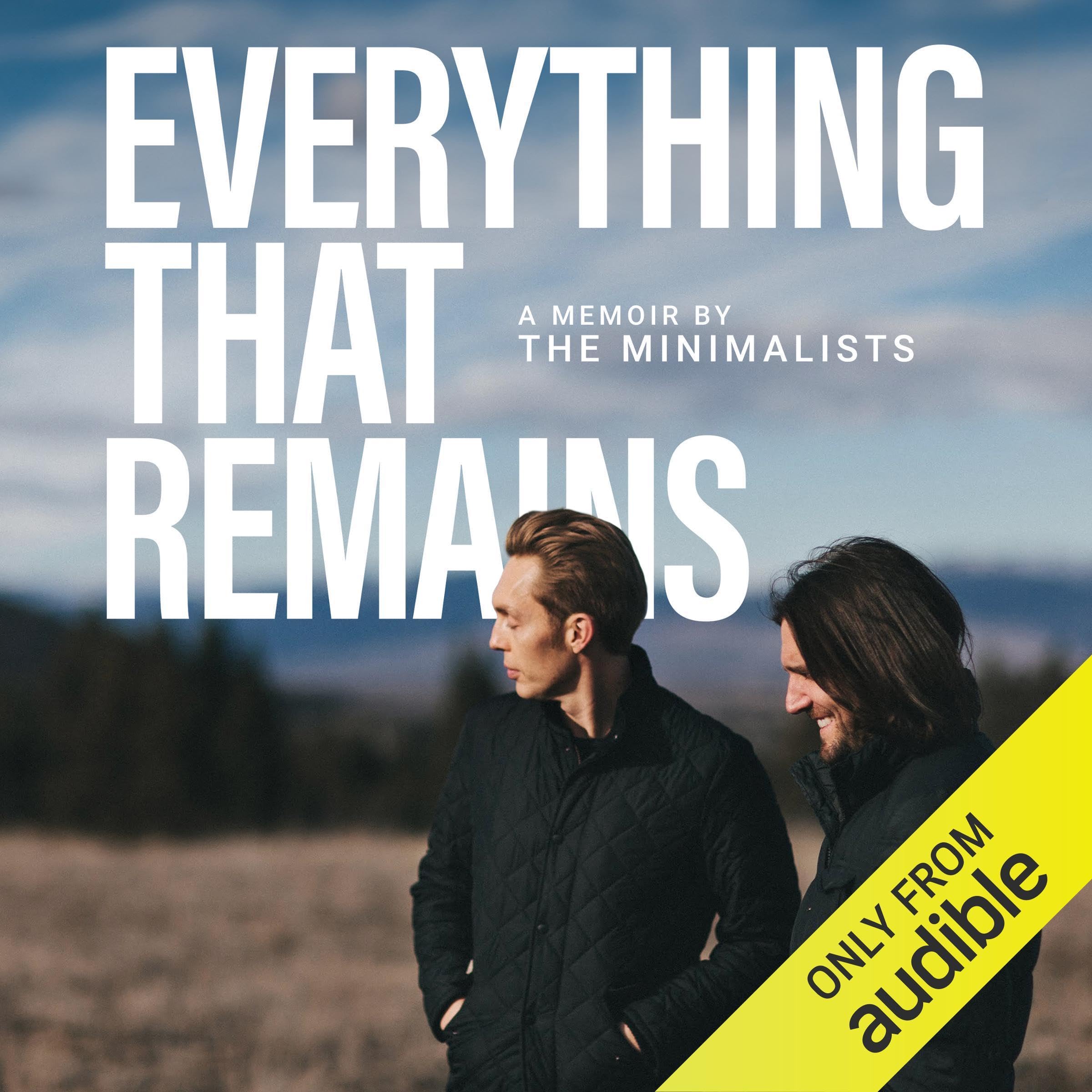 Cover art for Everything That Remains