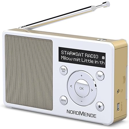TechniSat DIGITRADIO 1 Hr4 Edition - Tragbares DAB+ Radio Mit Akku & Direkthr4-Taste (Weiß/Grün)