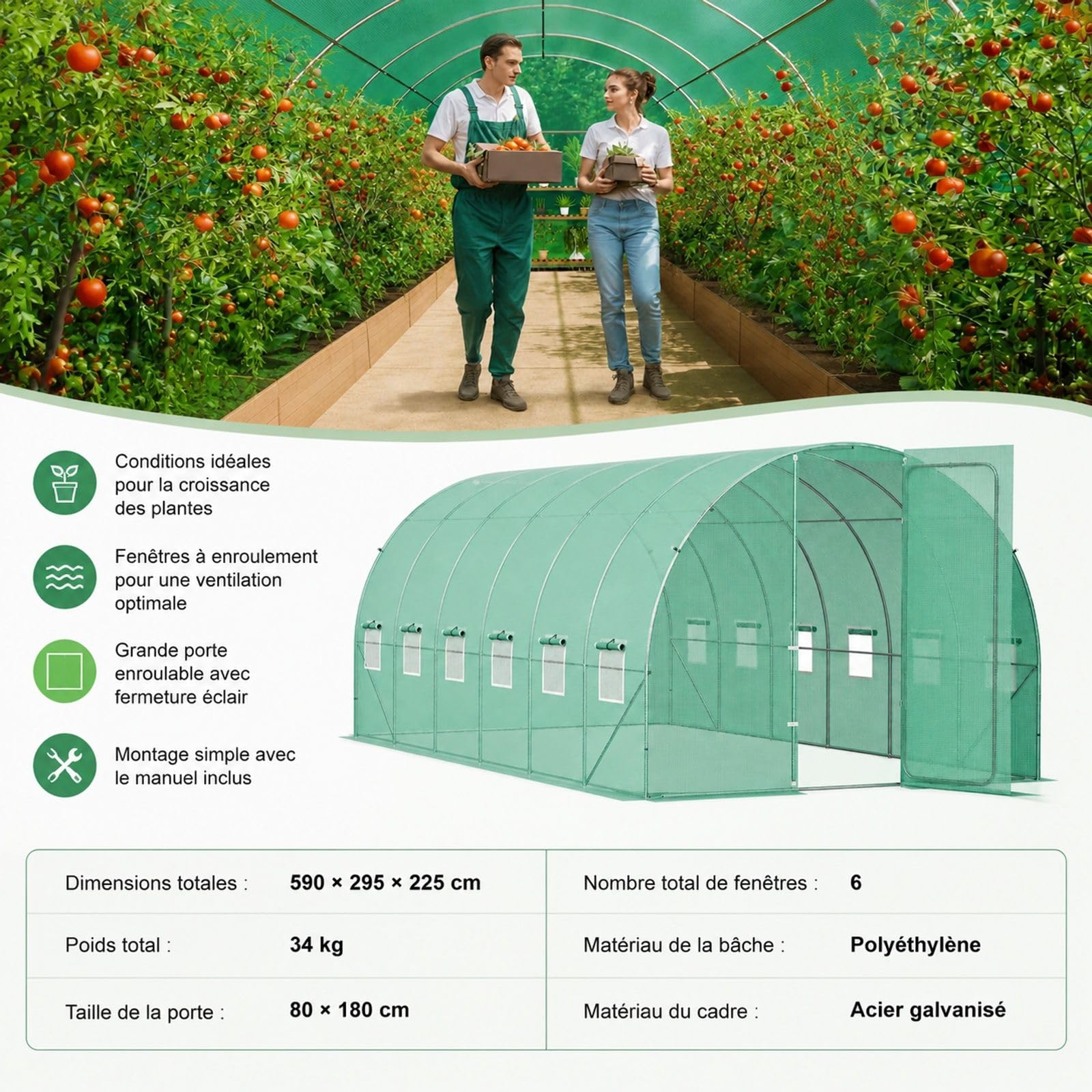 Serre Tunnel pour Plantes avec Cadre galvanisé et Couverture PE Verte, Forme Tunnel pour Jardin et Culture de légumes