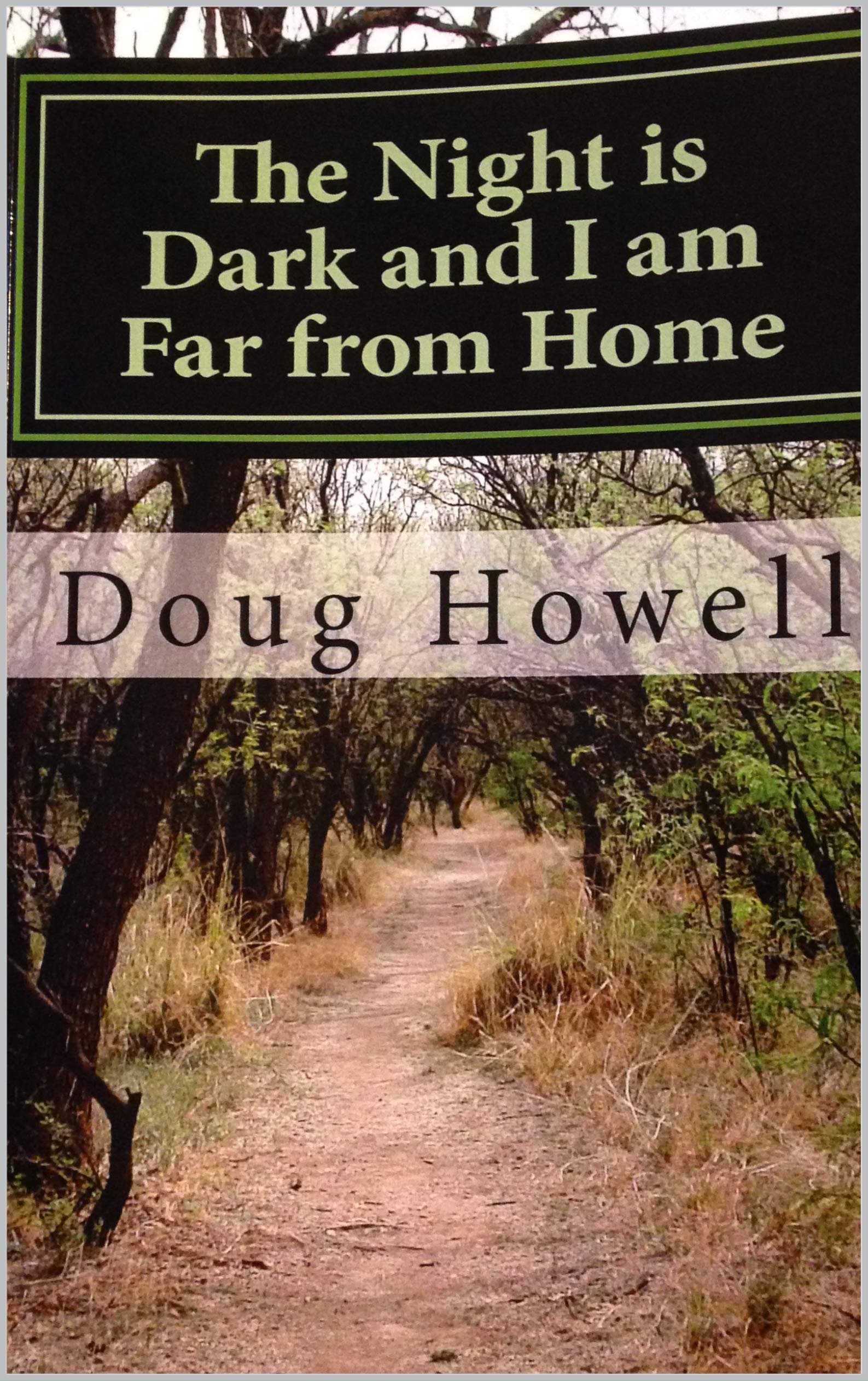 The Night Is Dark and I Am Far from Home: A Vietnam veteran's trip forward into the past