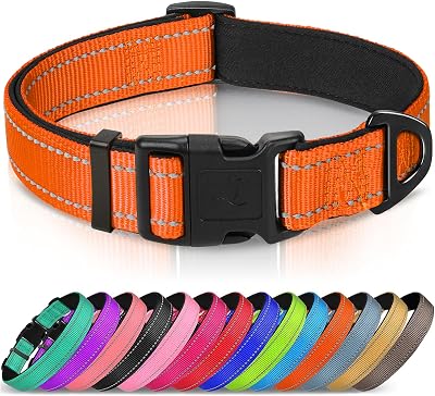 Joytale Reflective Dog Collar, Adjustable Neoprene Padded, Orange L