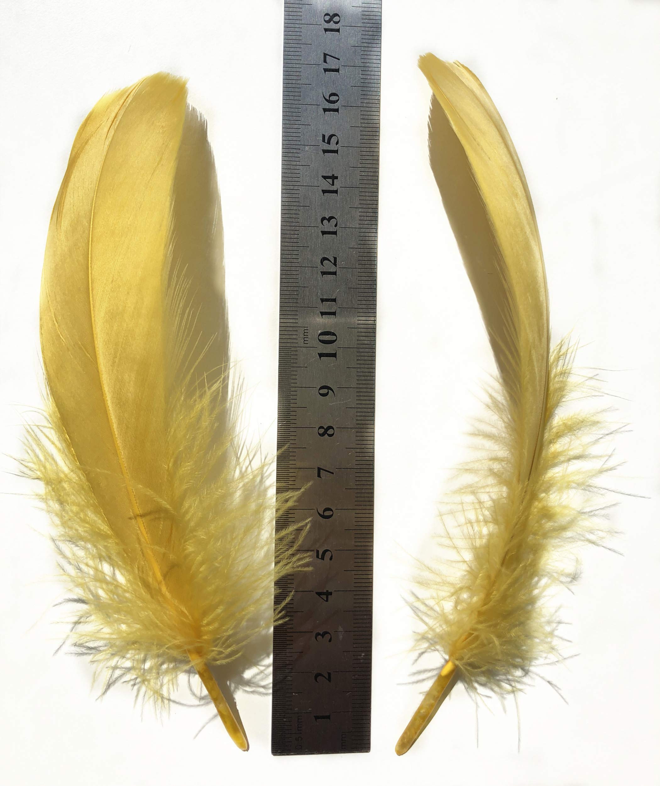 100 Piume D'Oca Reali - Lunghezza 15-22 Cm, Grigio, Per Costumi, Artigianato E Decorazioni - Foto 11