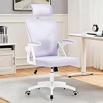 Office Chair,Ergonomic Desk Chair with Adjustable Lumbar Support,400 Lbs Mesh Computer Chair High Back with Headrest for Home Office (Black)