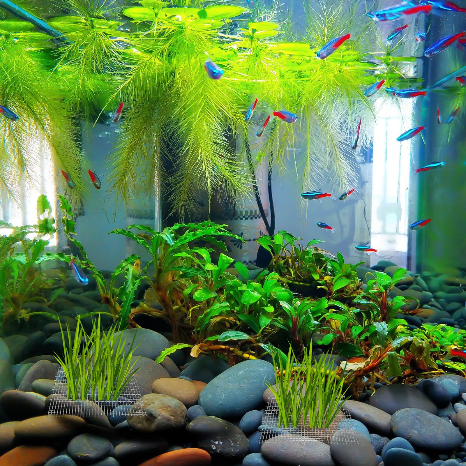 Filet en Acier Inoxydable Argenté 15pcs pour Mousse Aquatique et Java Moss, Maille Solide Résistante Accessoire Aquarium