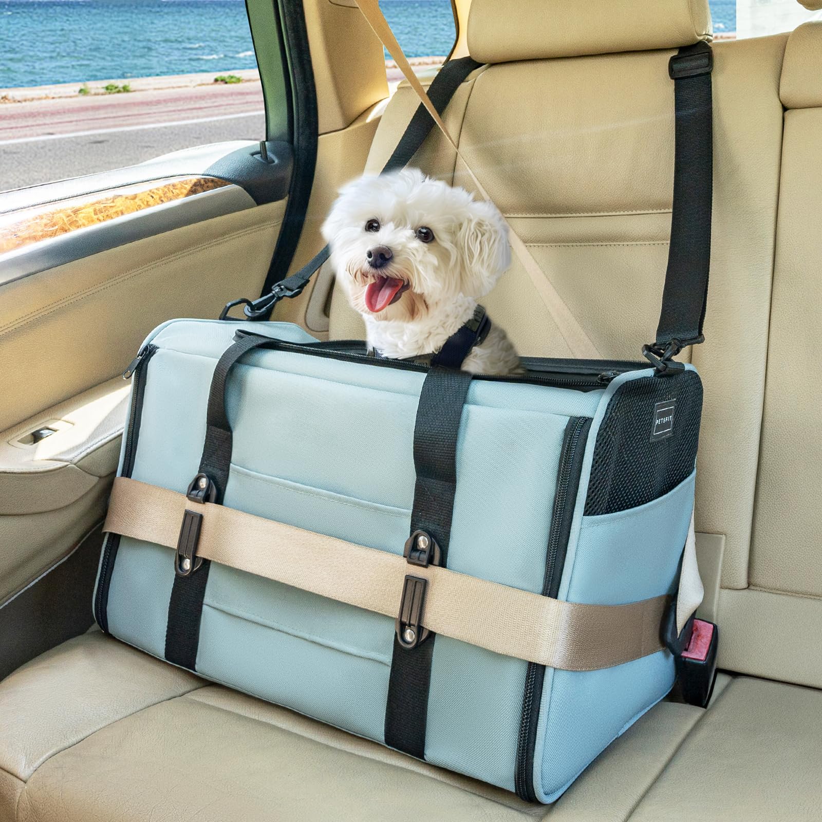 Petsfit Transportín Perro Gato Plegable, Transportin Gato/Transportin Perro Pequeño Mascotas, Bolsa de Transportar Mascotas para Pequeños Mascota Viajes Avion Coche o Tren