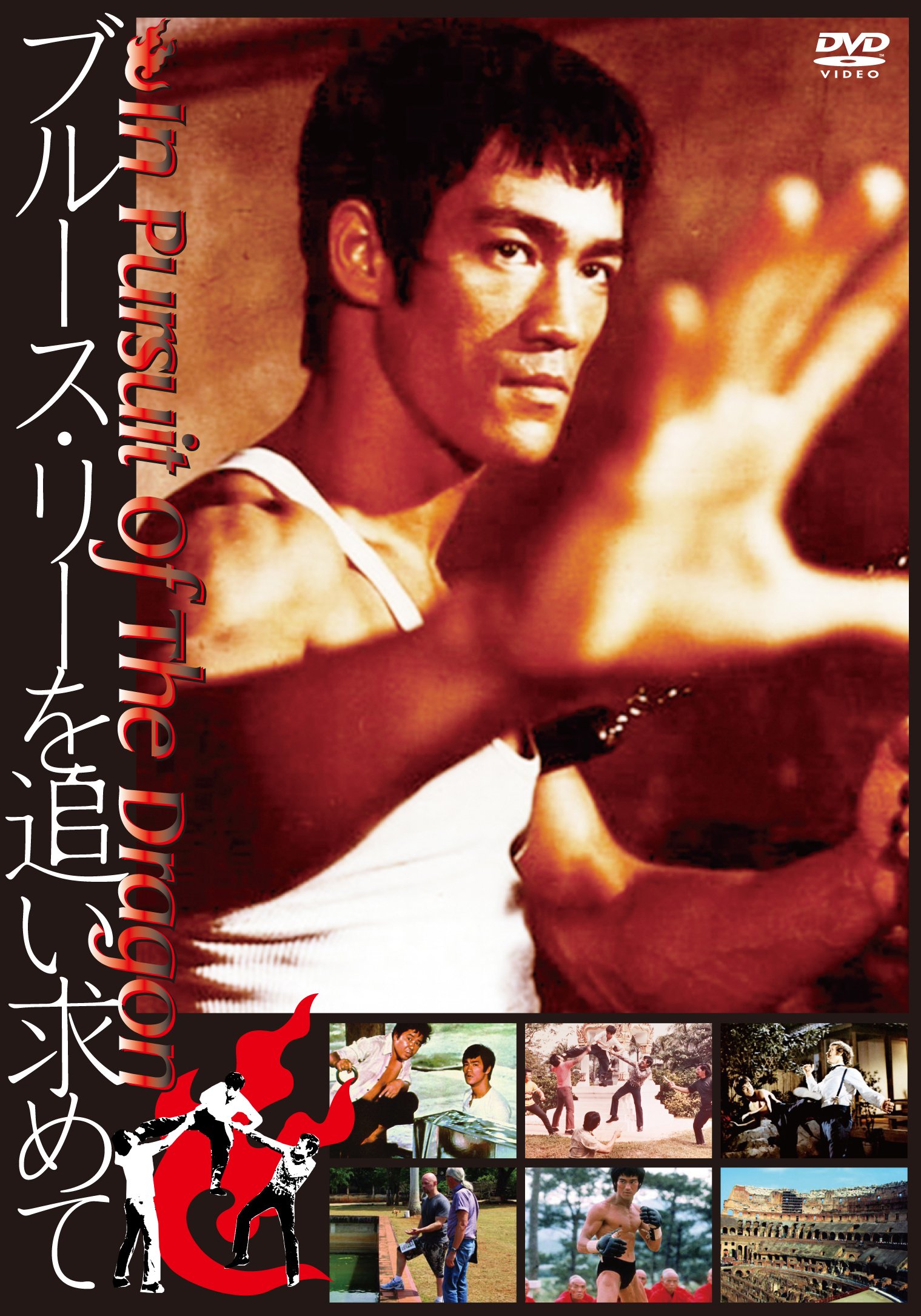 お値下げ中！DVD★ブルース・リーを追い求めて 81S886oLRYL.jpg