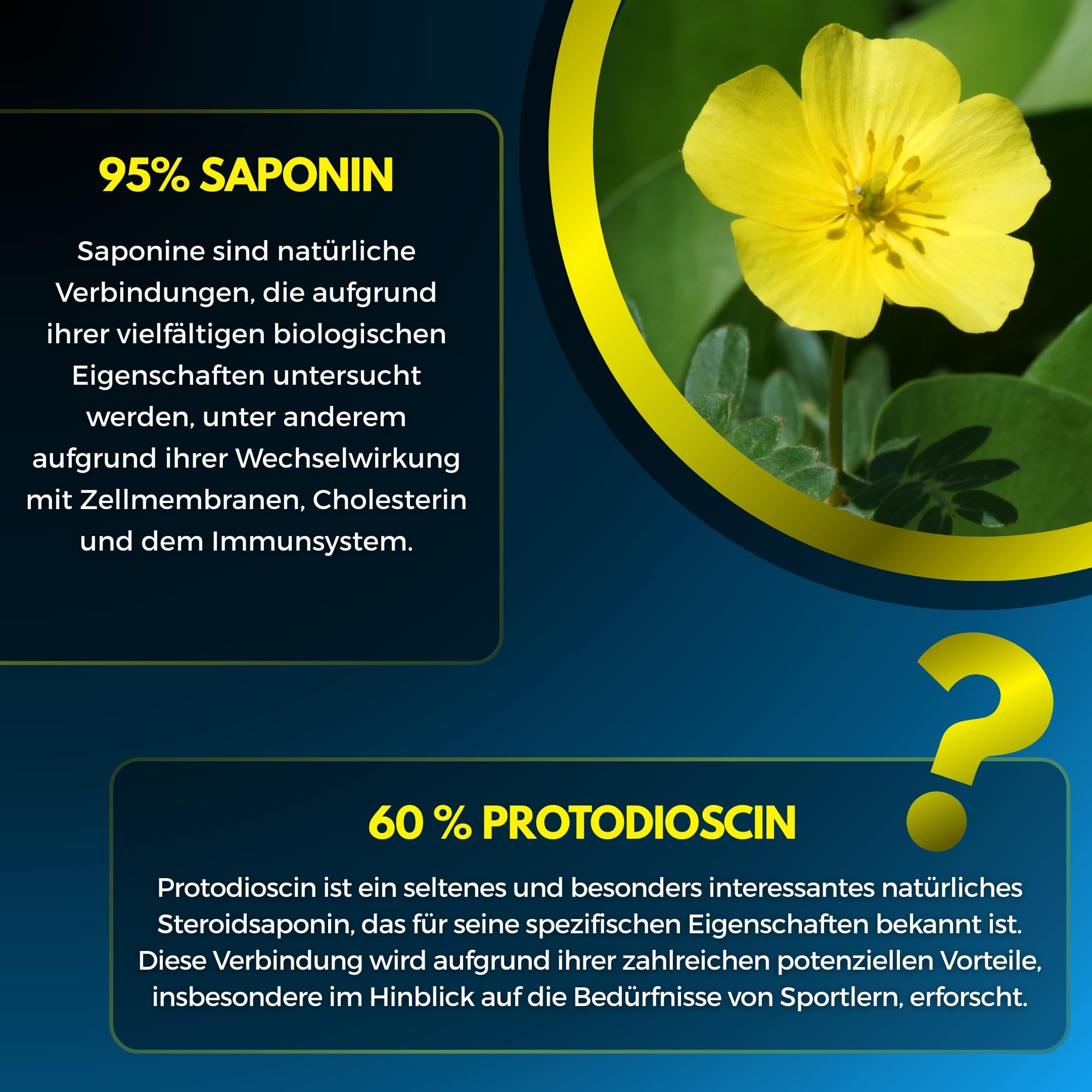 TRIBULUS TERRESTRIS ~ Hohe Konzentration 100:1 ~ Sportliche Leistung ~ 95% Saponine ~ 60% Protodioscin ~ Geprüft und zertifiziert ~ Ohne Mykotoxine ~ Hoher Gehalt an Wirkstoffen ~ Französisches Labor