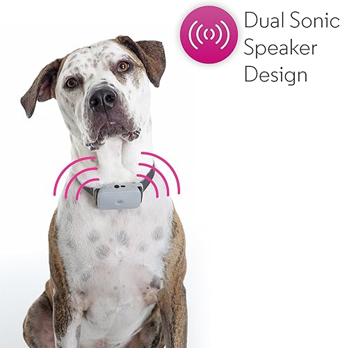 Miniatura 2 de Motorola BARK200U - Collar ultrasónico para perro con 3 niveles y vibración