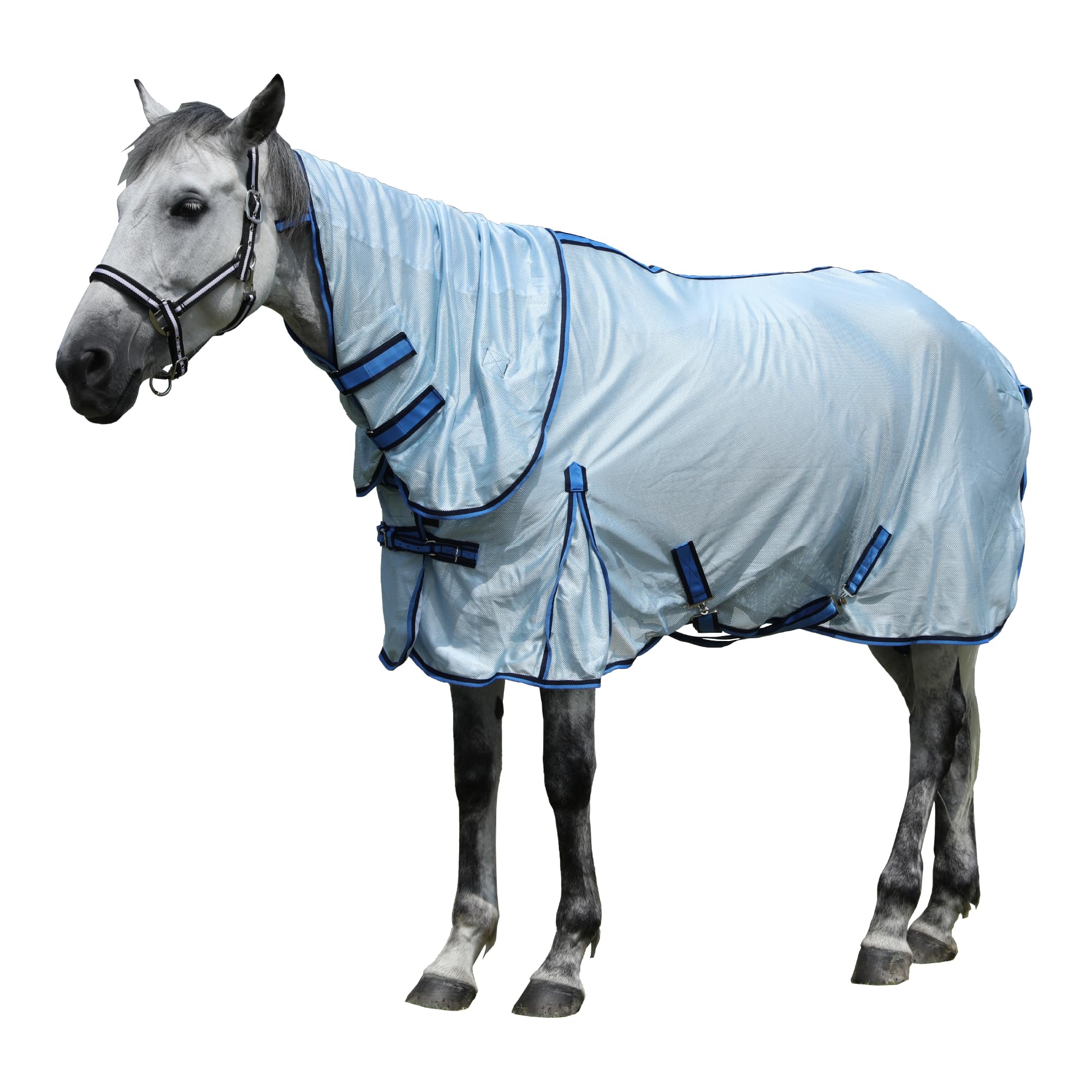 Manta antimoscas para caballo, transpirable, con cuello extraíble, color azul, 120 cm | Manta de verano ligera con correa cruzada ajustable, tejido de malla grande y gran comodidad para caballos sensibles
