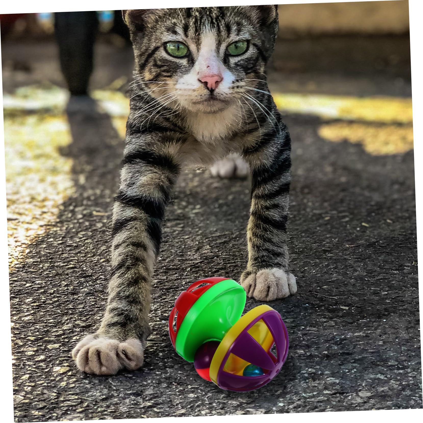 Happyyami 12stücke Katzenballspielzeug Mit Glocken Interaktive Kunststoffspielzeuge Für Katzen Lustige Und Farbenfrohe Ballspielzeuge Für Haustiere Für Spiel Und Beschäftigung