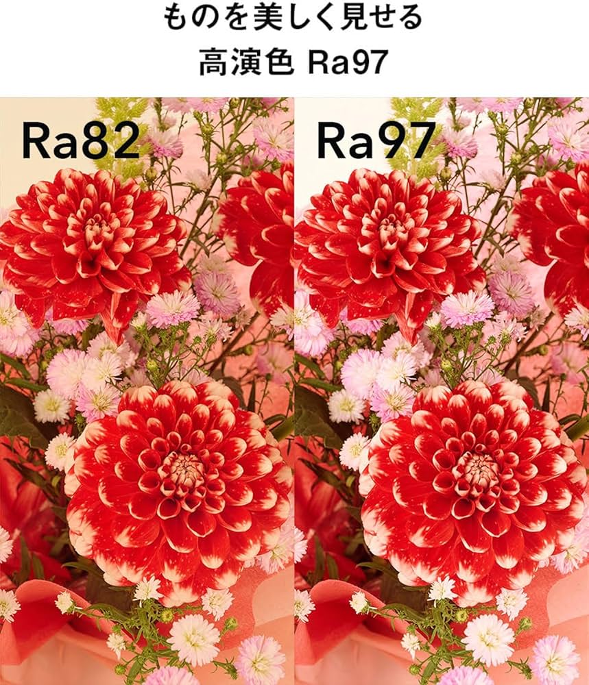 Amazon.co.jp: 「読書灯から間接照明まで、自由に使える