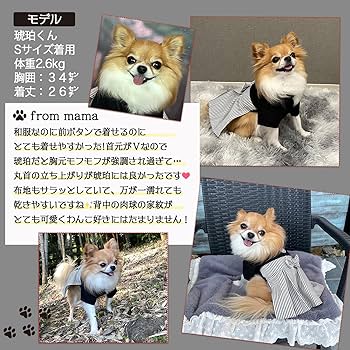 Amazon | m.tivance 犬 袴 小型犬 服 春 冬 秋 犬服 猫 誕生日
