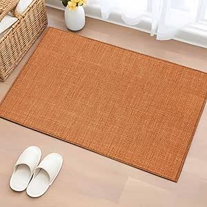 Amazon.com: Burnt Orange 2x3 Area Rugs for Living Room, Farmhouse ...