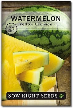 Sow Right Seeds - Yellow Crimson Watermelon Seed for Planting Outdoors