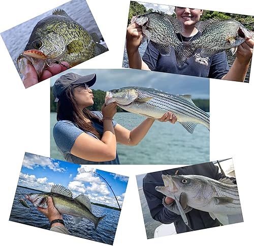 Miniatura 7 de Líderes de pesca de fluorocarbono 100% de 50 libras, 10/20 unidades, agua salada/agua dulce, línea líder de fluorocarbono de 20 pulgadas con giro y