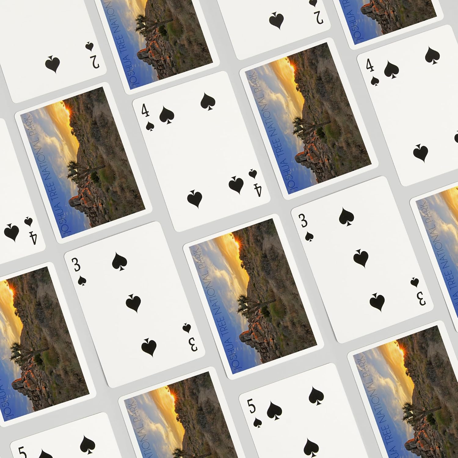 Lantern Press Joshua Tree National Park, California, Sunrise, 52 Playing Cards for Adults, Poker Size Card Deck