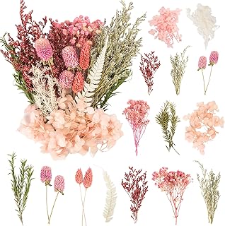 LAUMOE Dried Flowers, Dried Flowers for Crafts, Mini Dried Flowers Set for DIY Epoxy Resin Scrapbook Accessories, Handmade Home Decoration, Wedding (Pink)